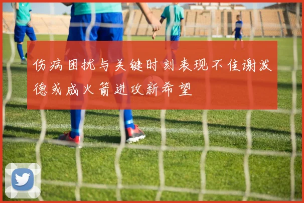 伤病困扰与关键时刻表现不佳谢泼德或成火箭进攻新希望