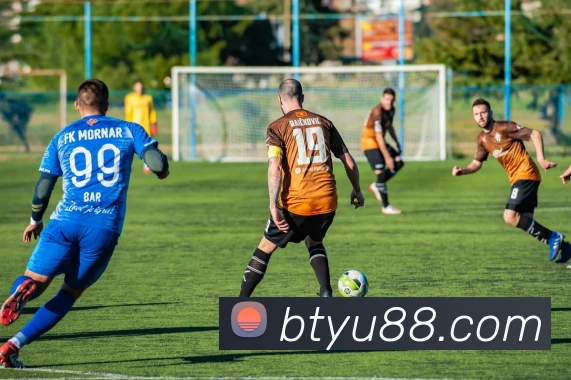 B体育平台生态图